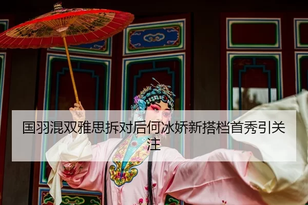 guo-yu-hun-shuang-ya-si-chai-dui-hou-he-bing-jiao-xin-da-dang-shou-xiu-yin-guan-zhu-2-688.jpg
